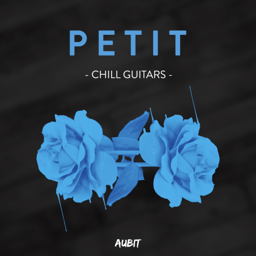 Petit Guitars Vol. 1